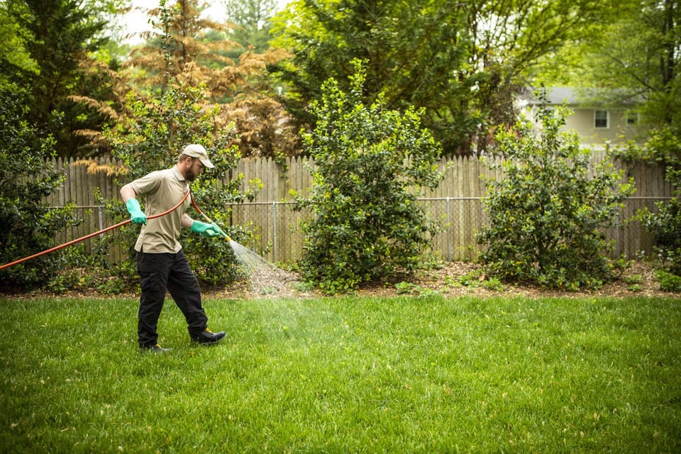 6 Reasons Why Your Weeds Keep Coming Back & What To Do