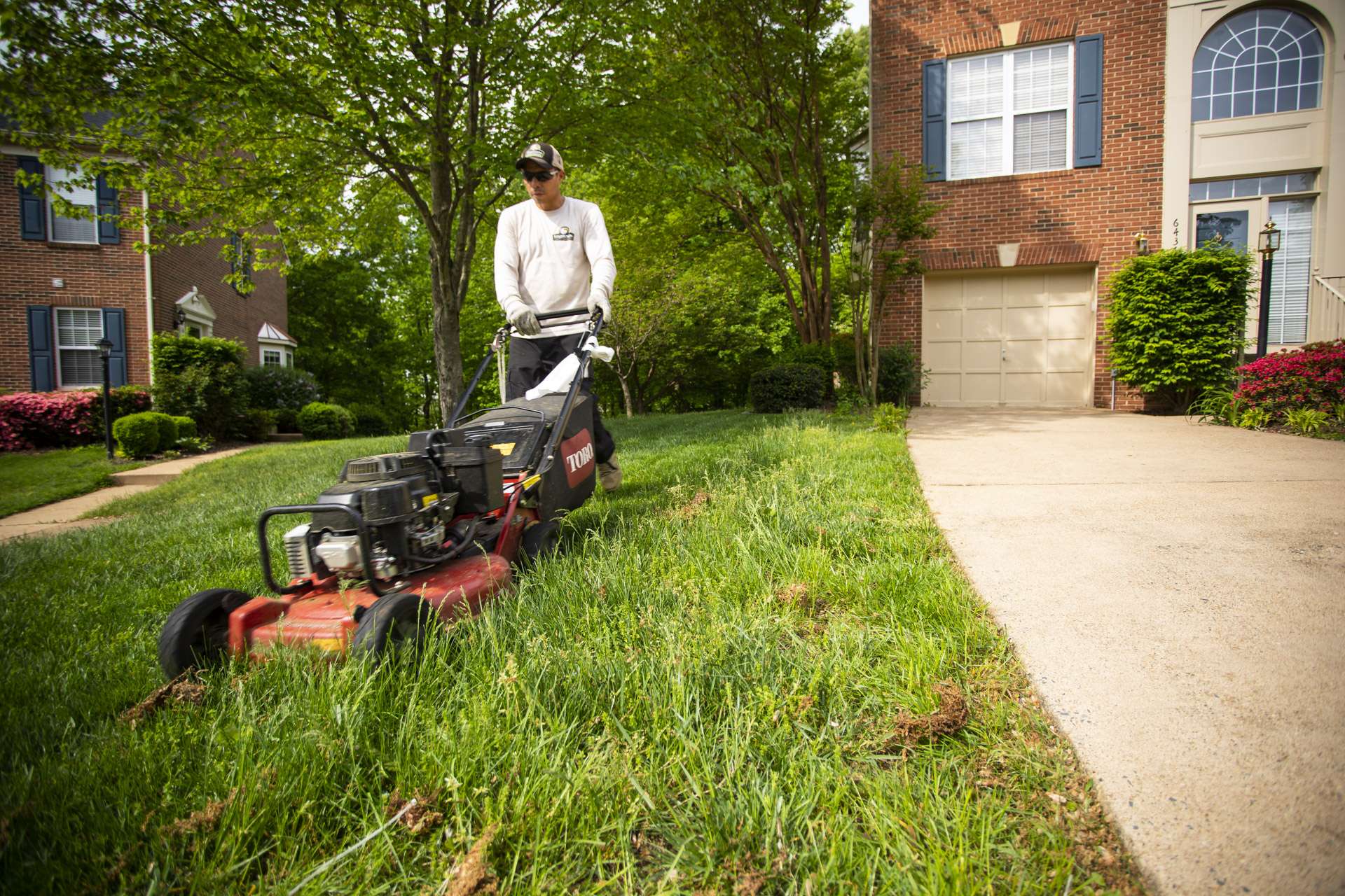 everything-you-need-to-know-about-perimeter-pest-control