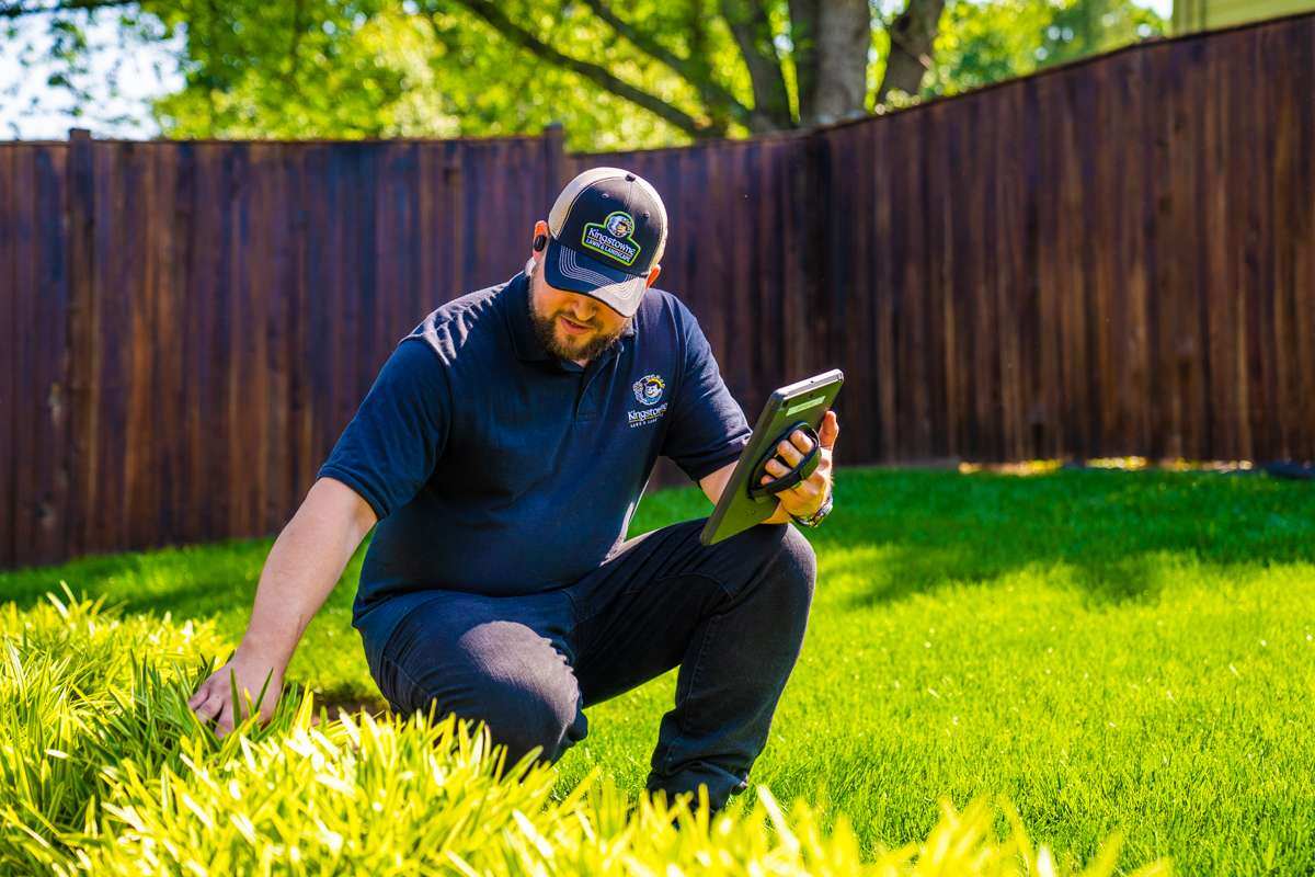 landscape account manager inspecting a planting bed