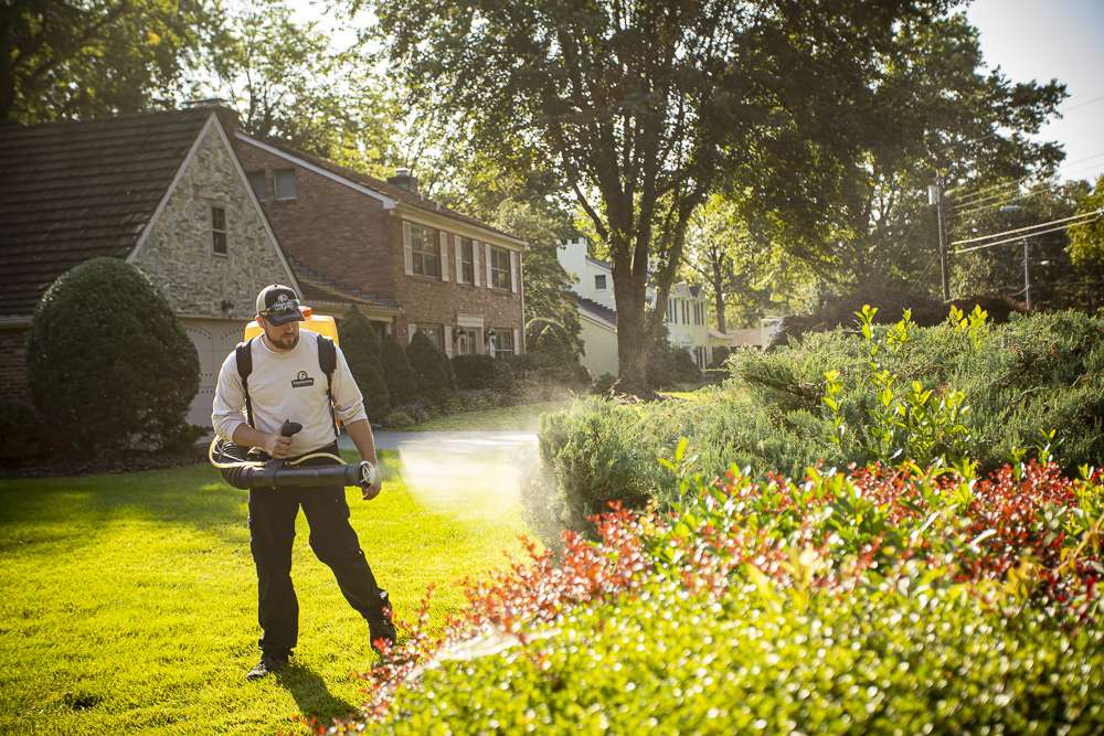 pest control technician spraying shrubs with mosquito barrier spray