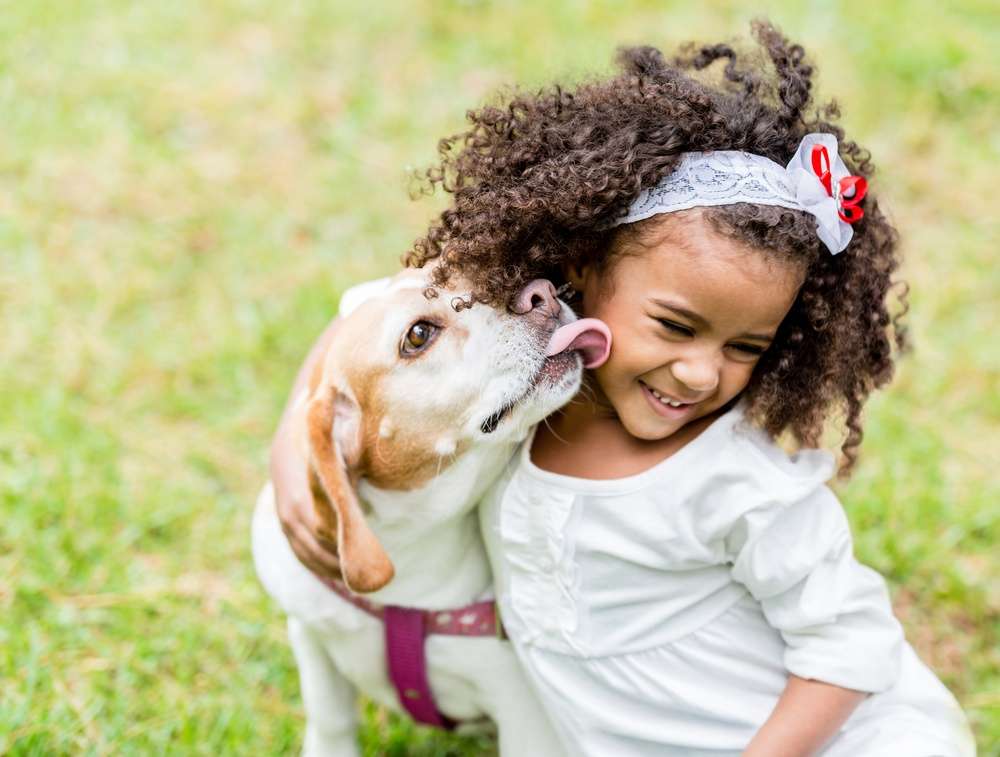 girl sitting on grass with dog licking her face