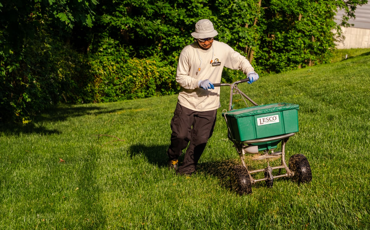 lawn care treatment application