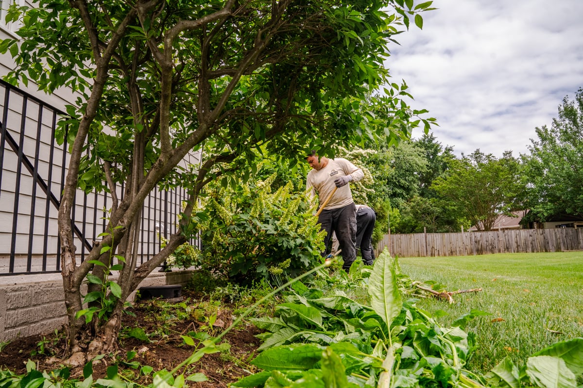 Landscape Maintenance vs. Lawn Care: What’s The Difference?