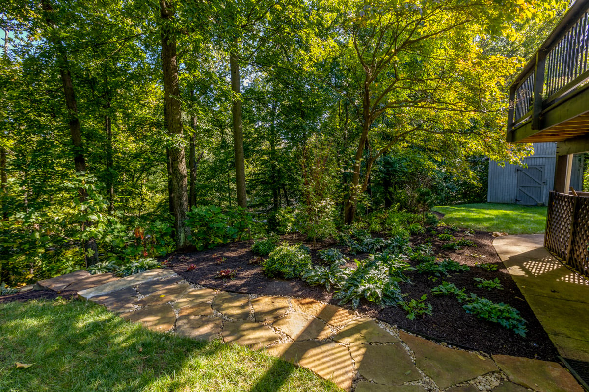 woodland backyard planting with stepping stones and lawn