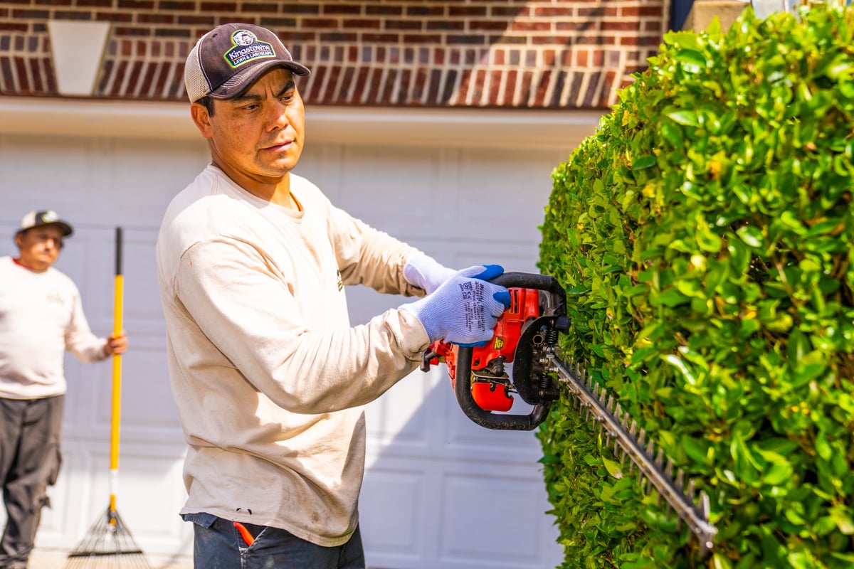 trimming shearing hedge crew team 4