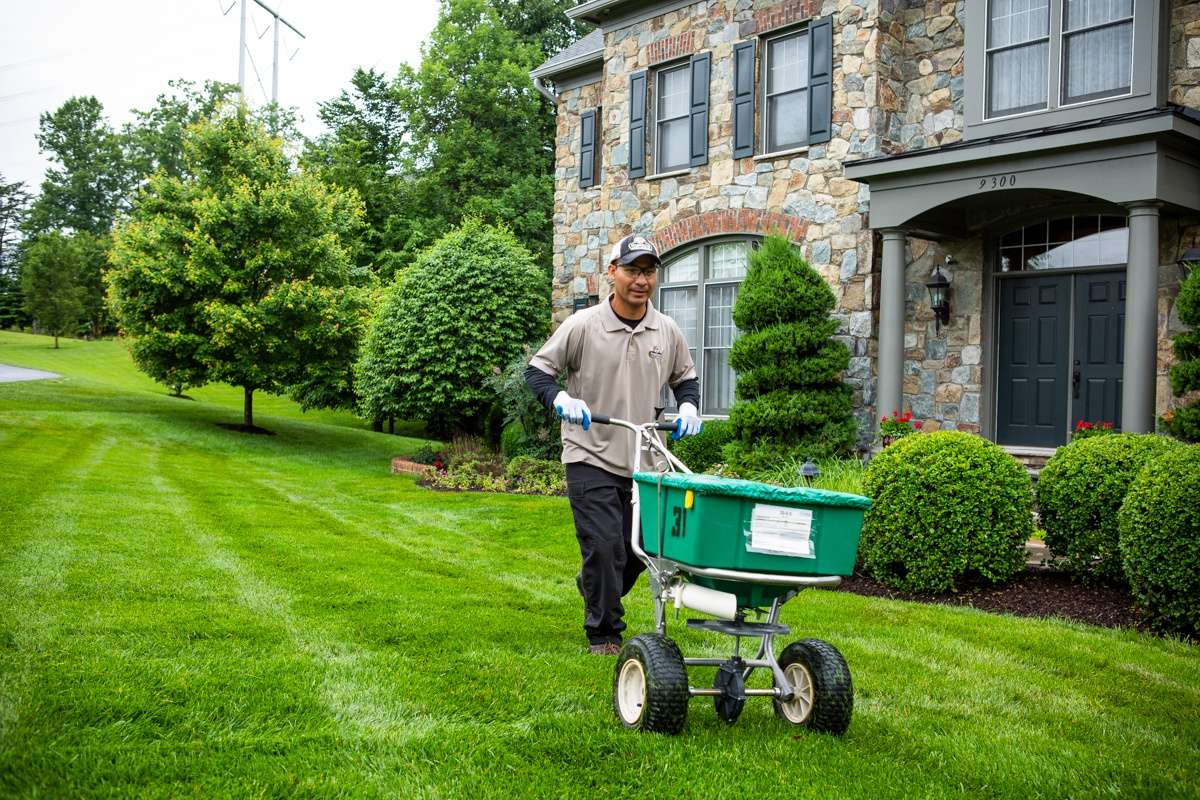 How Much Does Lawn Care Cost Exploring Program Pricing For Alexandria 