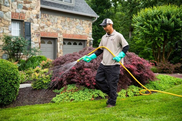 How to Stop Weeds From Growing in Your Flower Beds in Northern Virginia