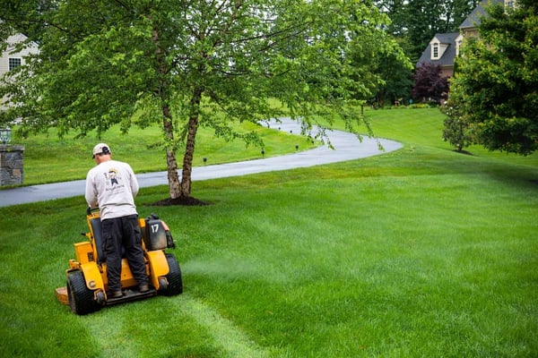 a-look-at-lawn-mowing-jobs-in-alexandria-va-going-from-paying-the