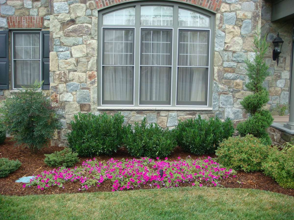 Kingstowne Lawn & Landscape Portfolio | Flowers, Shrubs ...