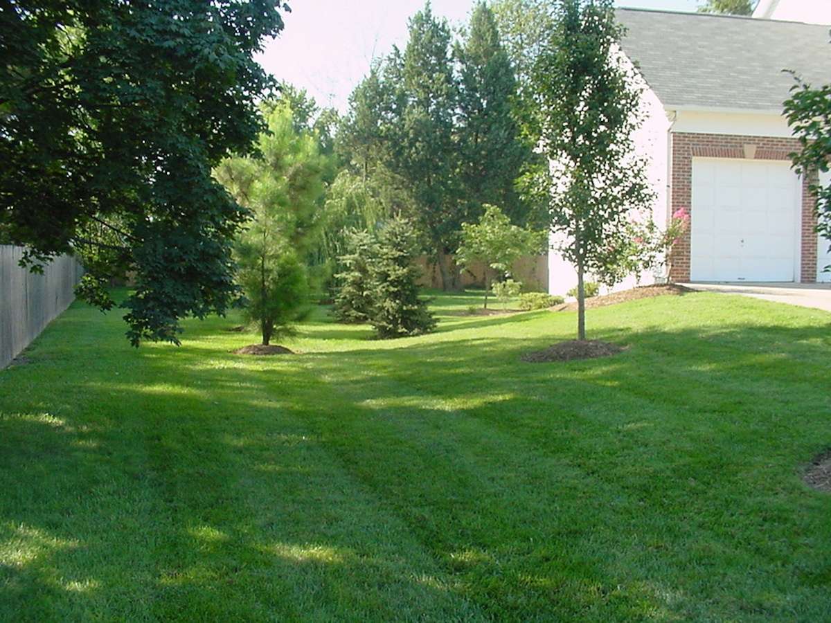 lawn-care-alexandria-arlington-va-10