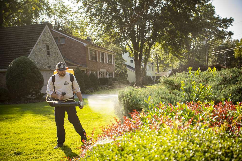 Is Professional Mosquito Yard Spraying Safe for My Pets & Guests?