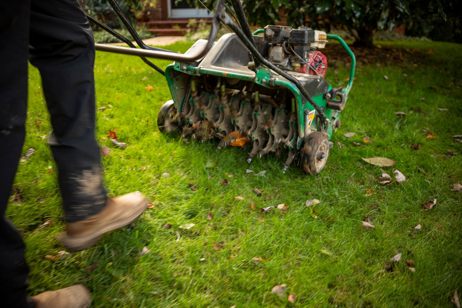 lawn care technician aerating a northern virginia lawn