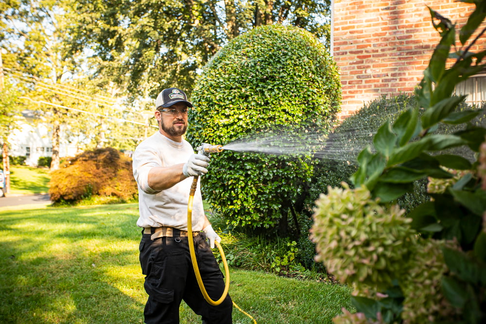 Kingstowne team technician plant health care spraying 9