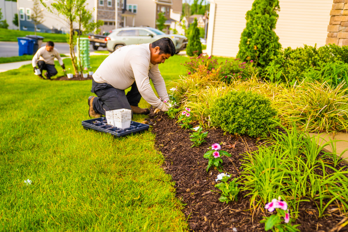 crew team planting flowers 18