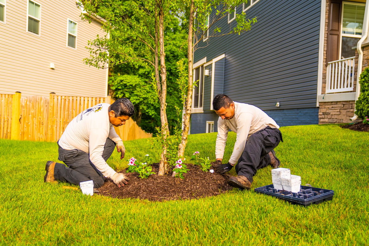 crew team planting flowers 20