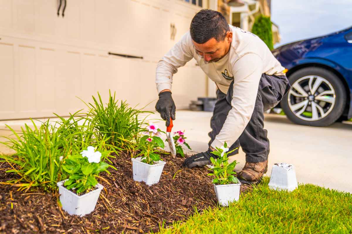 crew team planting flowers 8