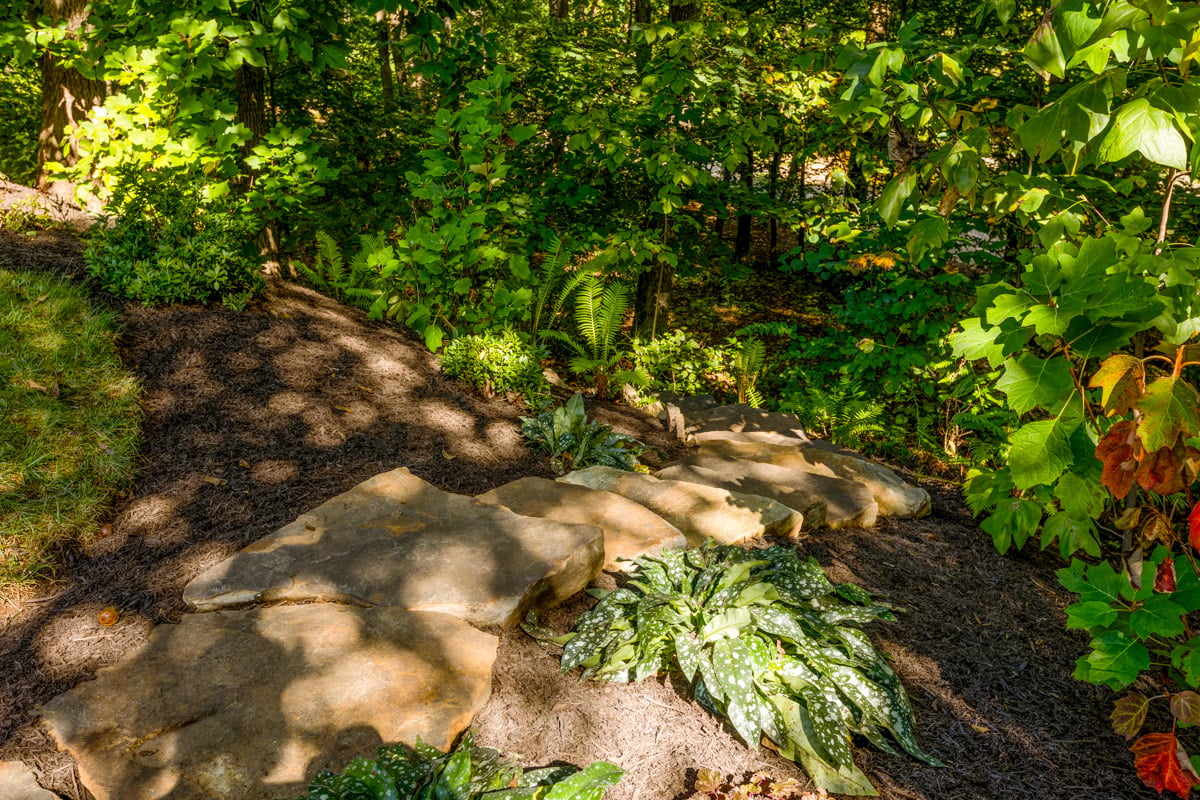 stone steps and plants in a woodland landscape design