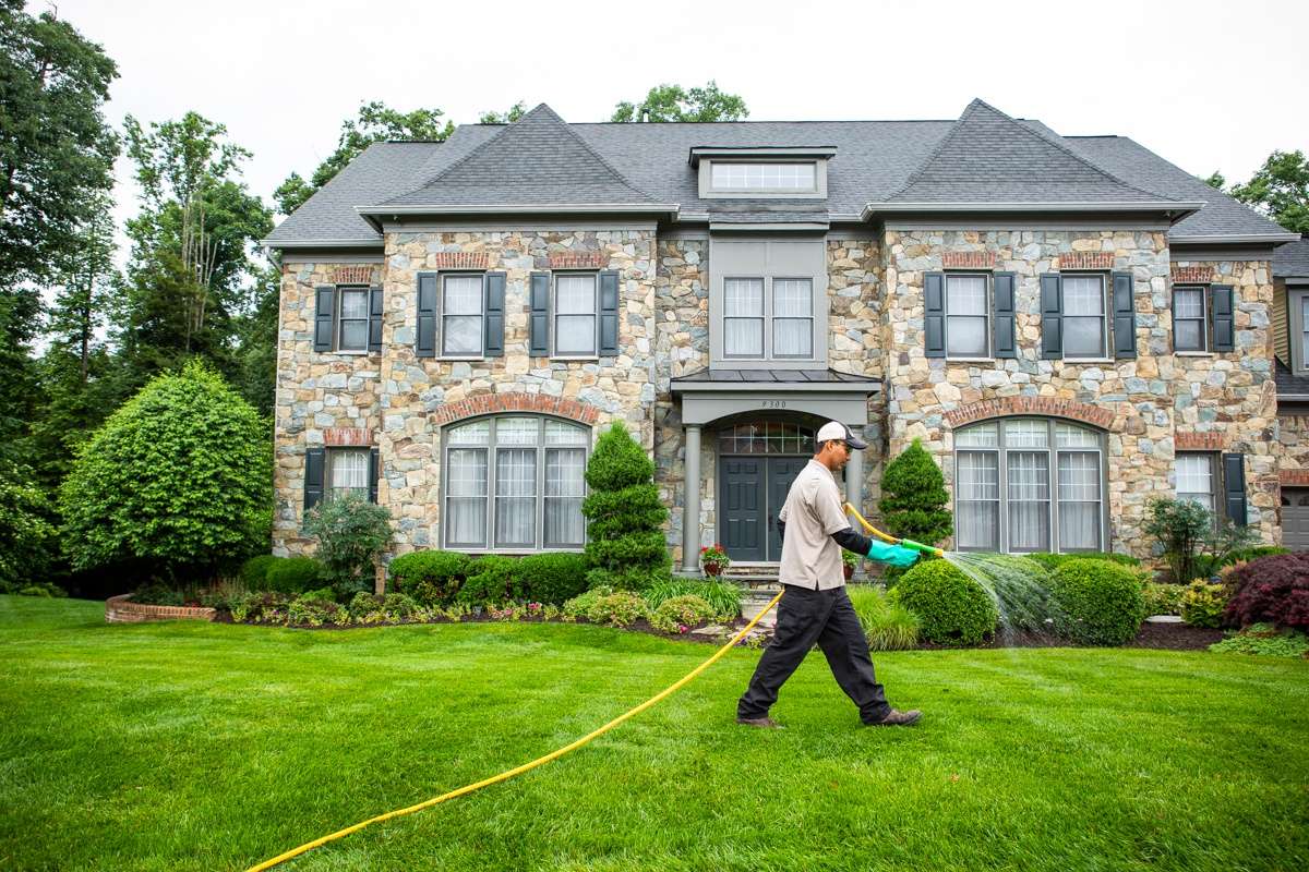 lawn-care-treatment-liquid-spraying-2